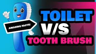 Toilet and Tooth Brush [upl. by Malarkey689]