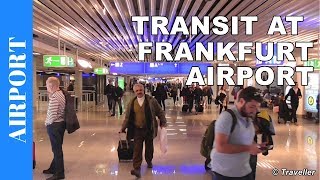 TRANSIT WALK AT FRANKFURT Airport FRA Terminal 1  Connection Flight Transfer Arriving amp Departing [upl. by Enoj]